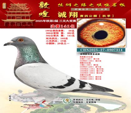 敦煌诚翔决赛141名