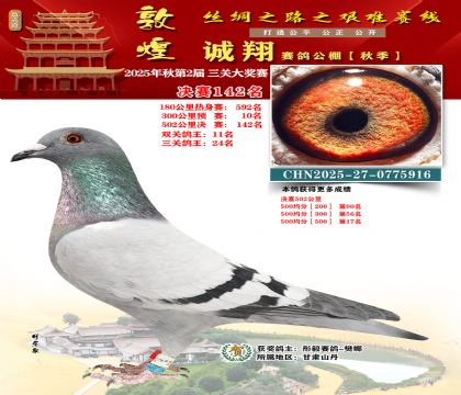 敦煌诚翔决赛142名