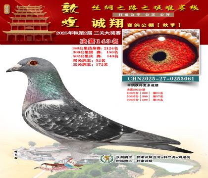 敦煌诚翔决赛143名