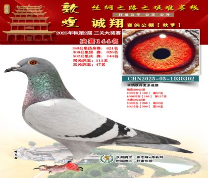 敦煌诚翔决赛144名