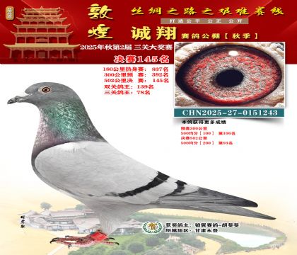 敦煌诚翔决赛145名