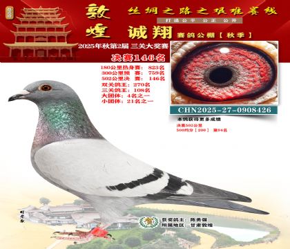 敦煌诚翔决赛146名