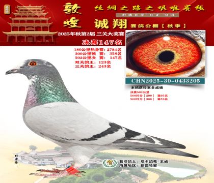 敦煌诚翔决赛147名