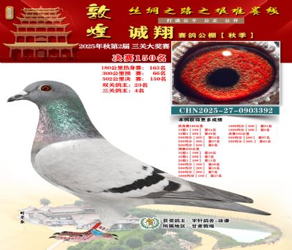 敦煌诚翔决赛150名(三关鸽王4名)