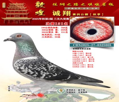 敦煌诚翔决赛151名