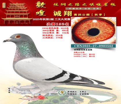 敦煌诚翔决赛152名