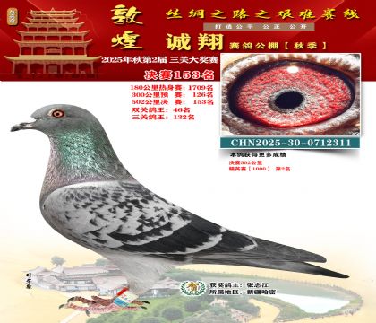 敦煌诚翔决赛153名