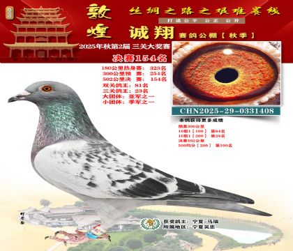 敦煌诚翔决赛154名