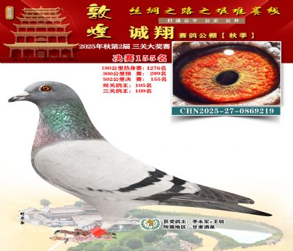 敦煌诚翔决赛155名