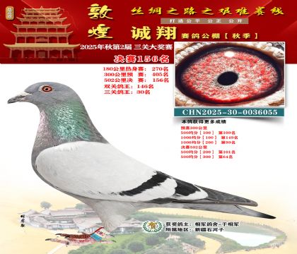 敦煌诚翔决赛156名