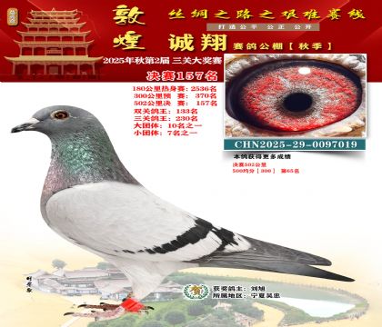 敦煌诚翔决赛157名