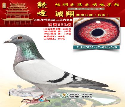 敦煌诚翔决赛158名