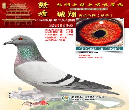 敦煌诚翔决赛159名