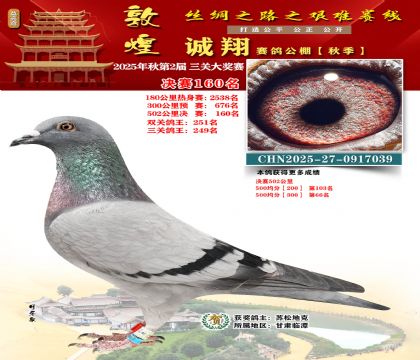 敦煌诚翔决赛160名