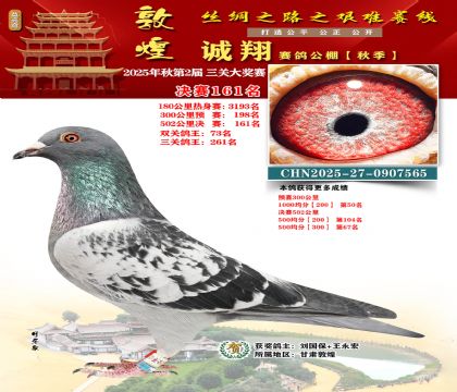 敦煌诚翔决赛161名