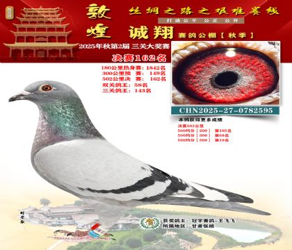 敦煌诚翔决赛162名