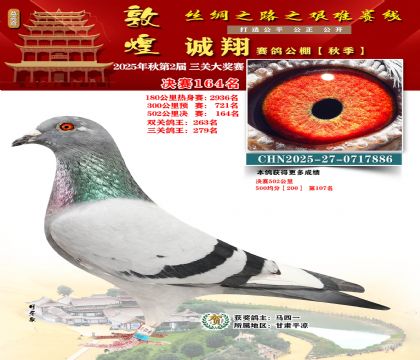 敦煌诚翔决赛164名