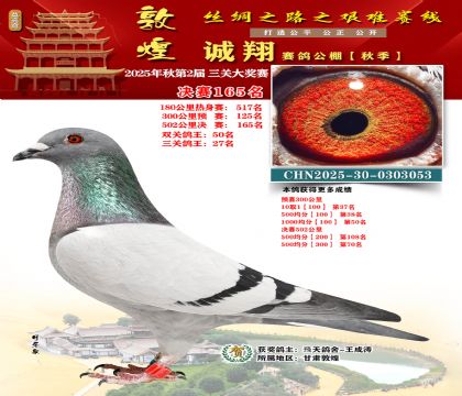 敦煌诚翔决赛165名