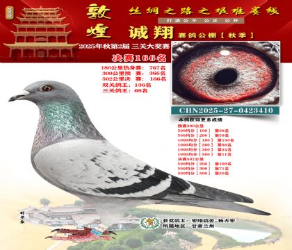 敦煌诚翔决赛166名