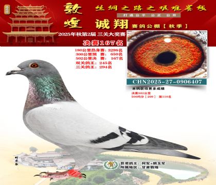 敦煌诚翔决赛167名