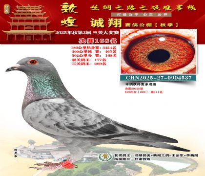 敦煌诚翔决赛168名