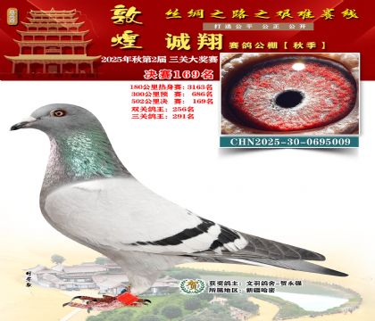 敦煌诚翔决赛169名