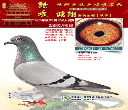 敦煌诚翔决赛170名