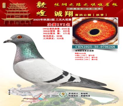 敦煌诚翔决赛171名