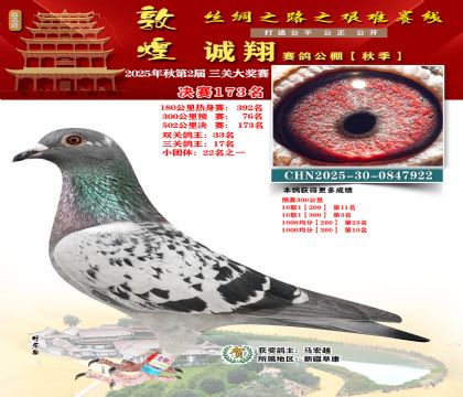 敦煌诚翔决赛173名