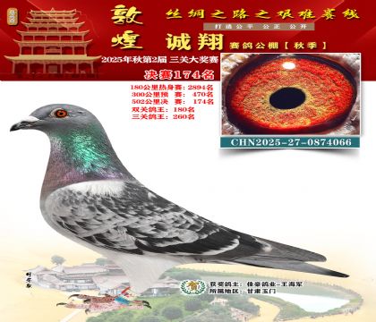 敦煌诚翔决赛174名