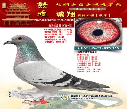 敦煌诚翔决赛175名