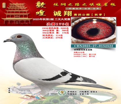 敦煌诚翔决赛176名