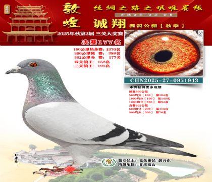 敦煌诚翔决赛177名