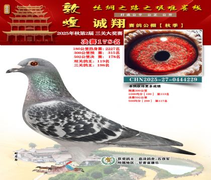 敦煌诚翔决赛178名