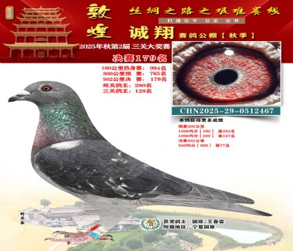 敦煌诚翔决赛179名