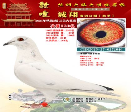 敦煌诚翔决赛180名