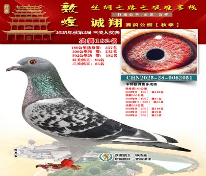 敦煌诚翔决赛182名