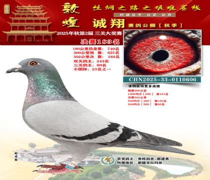 敦煌诚翔决赛183名