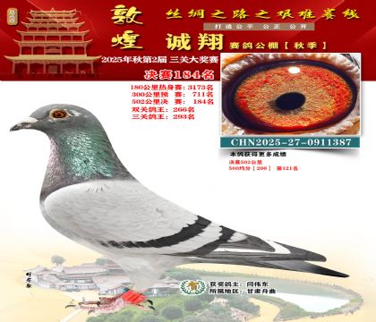 敦煌诚翔决赛184名