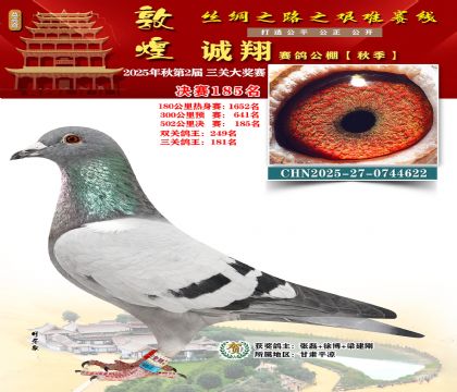 敦煌诚翔决赛185名