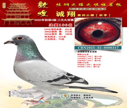 敦煌诚翔决赛186名