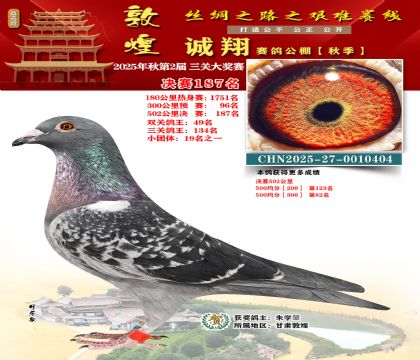 敦煌诚翔决赛187名