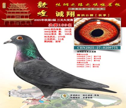 敦煌诚翔决赛189名