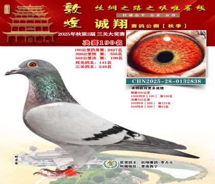 敦煌诚翔决赛190名