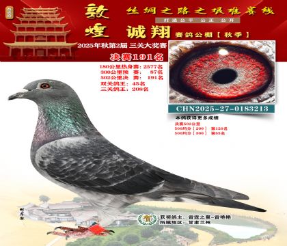 敦煌诚翔决赛191名