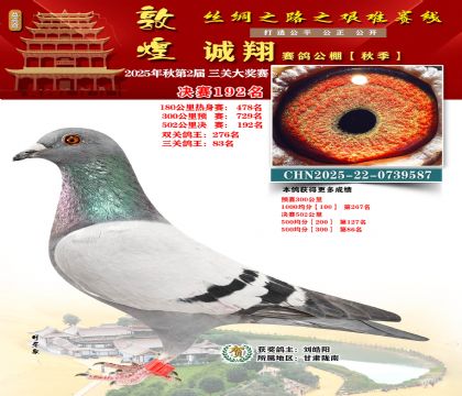 敦煌诚翔决赛192名