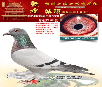 敦煌诚翔决赛193名