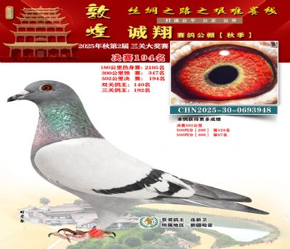 敦煌诚翔决赛194名