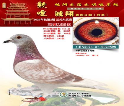 敦煌诚翔决赛195名