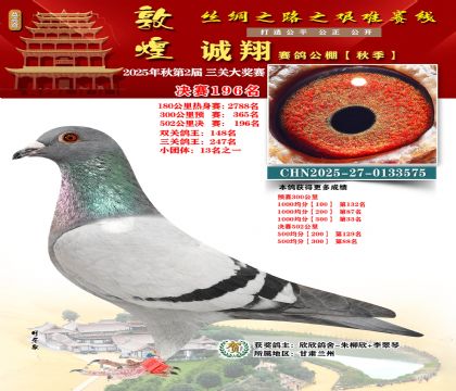 敦煌诚翔决赛196名